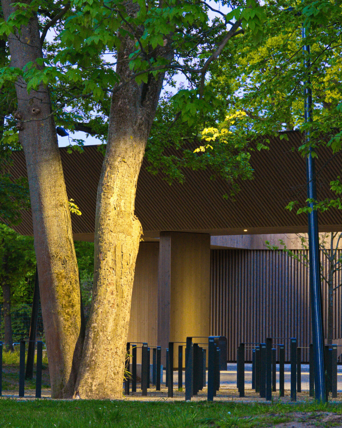 3.Außenbeleuchtung öffentlicher Raum Zoo Hannover Eingangsbereich Lichtdesign