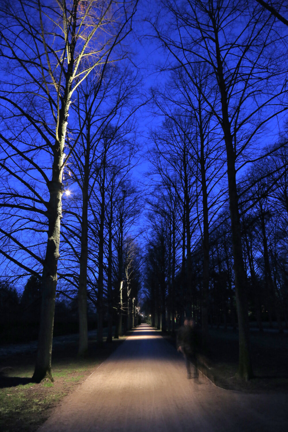4.Außenbeleuchtung Parkbeleuchtung Französischer Garten Celle Lichtplanung