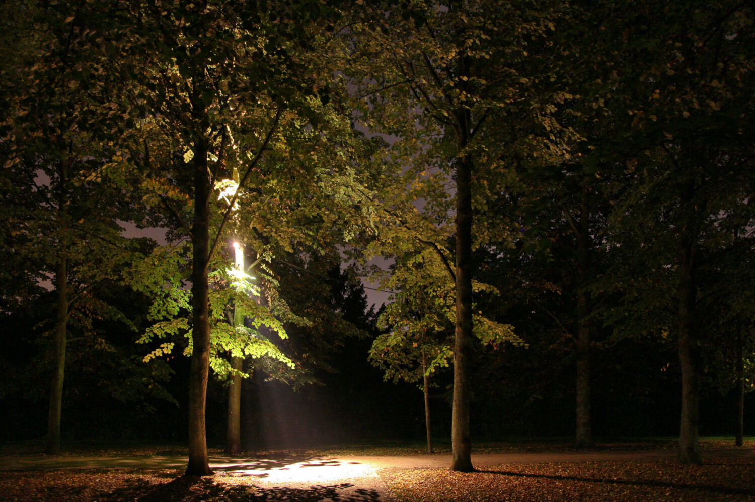 Außenbeleuchtung Parkbeleuchtung Ottomar Von Reden Park Gerden Lichtplanung Parkbeleuchtung Ottomar Von Reden Park